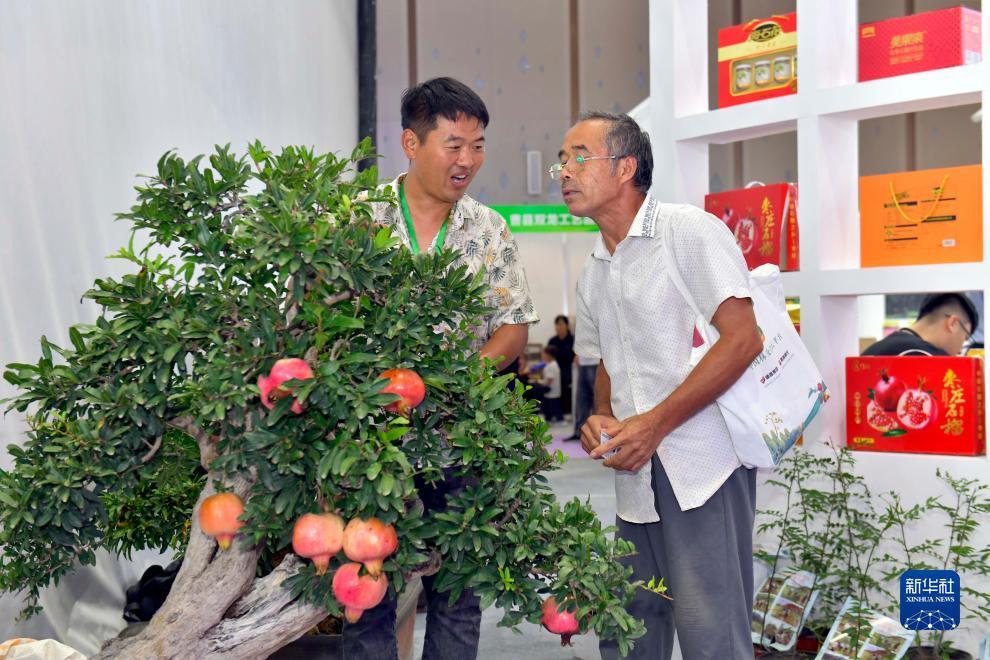 以小博大彩金